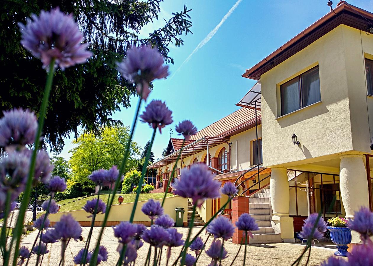 Villa Teleki Экстерьер фото