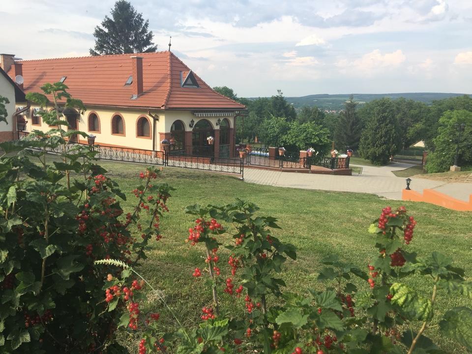 Villa Teleki Экстерьер фото